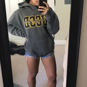 UCSD Hoodie